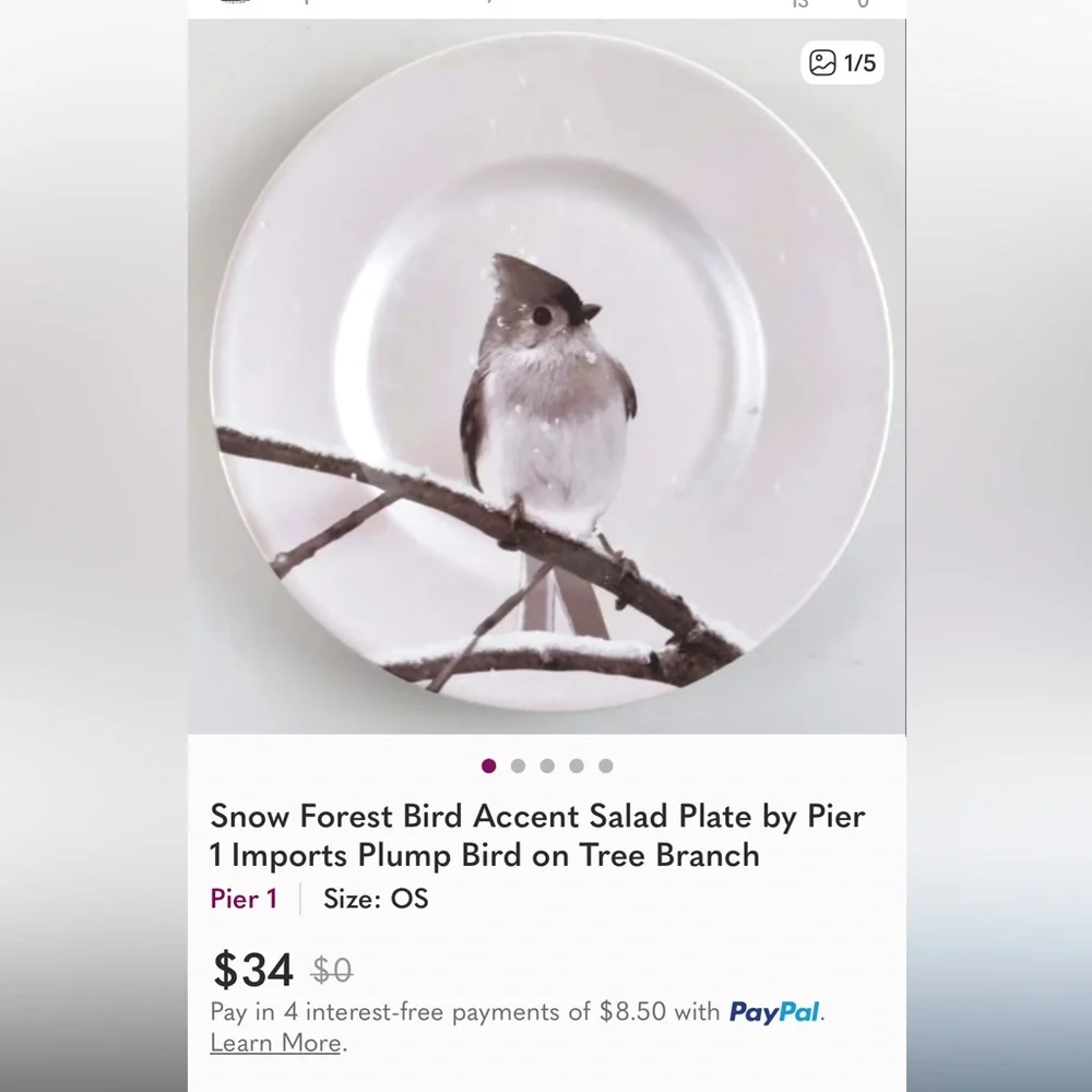 Pier 1, Snowy Tufted Titmouse on Branch. Salad Plate is 8.5” wide.
